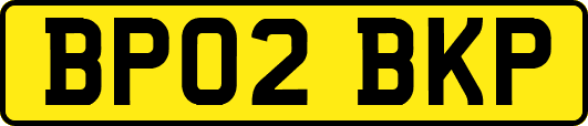 BP02BKP