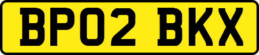 BP02BKX
