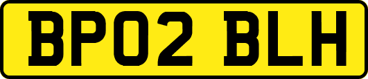 BP02BLH