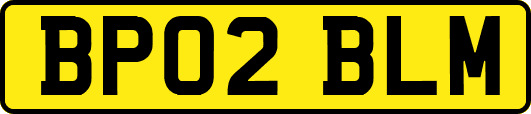 BP02BLM
