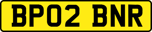 BP02BNR