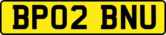 BP02BNU
