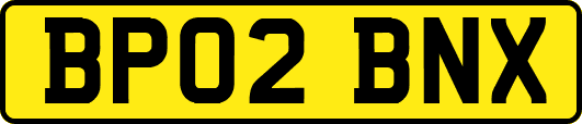 BP02BNX