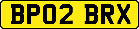 BP02BRX