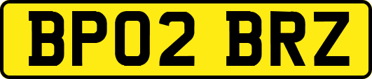 BP02BRZ