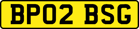 BP02BSG