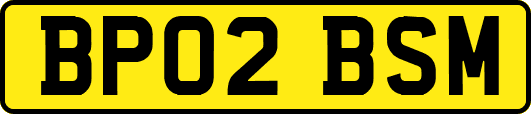 BP02BSM