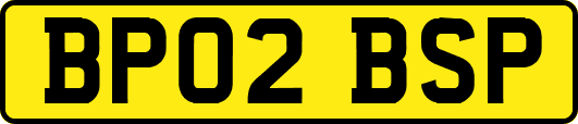 BP02BSP