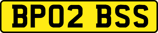 BP02BSS