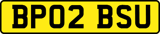BP02BSU