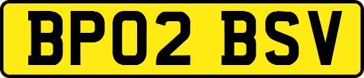 BP02BSV