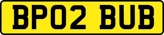 BP02BUB