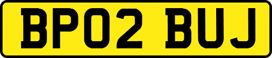 BP02BUJ