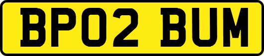 BP02BUM