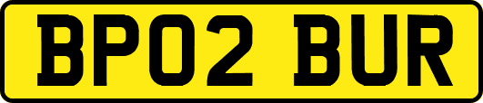 BP02BUR