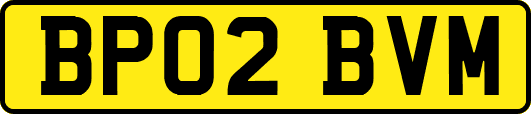 BP02BVM