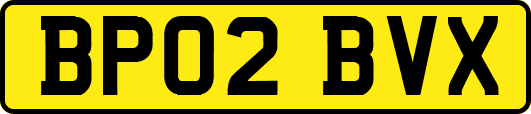 BP02BVX