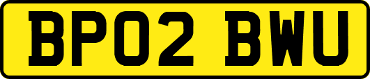 BP02BWU