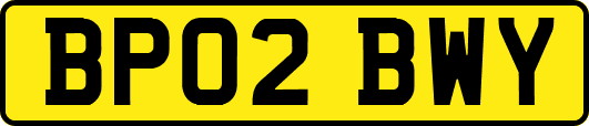 BP02BWY