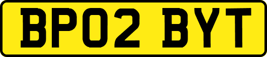 BP02BYT