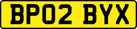 BP02BYX