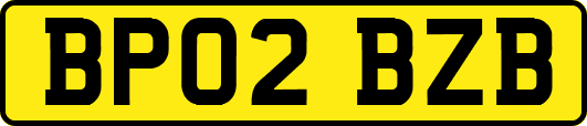 BP02BZB