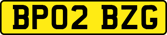 BP02BZG