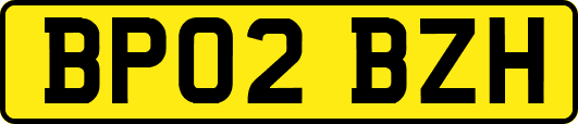 BP02BZH