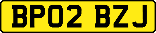 BP02BZJ