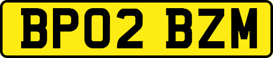 BP02BZM