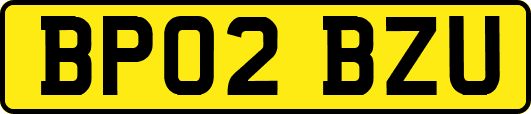 BP02BZU