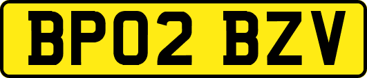 BP02BZV