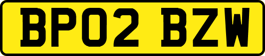 BP02BZW