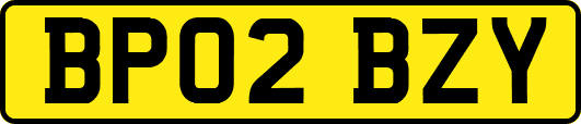 BP02BZY