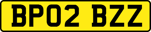 BP02BZZ