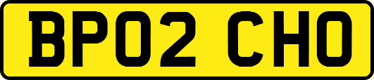 BP02CHO