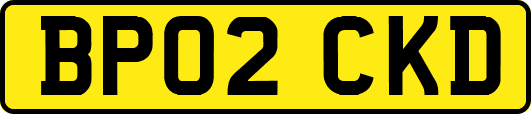 BP02CKD