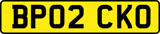 BP02CKO