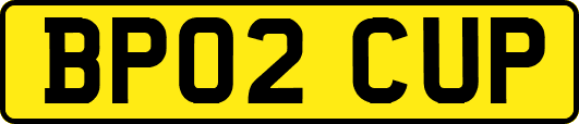 BP02CUP