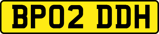 BP02DDH