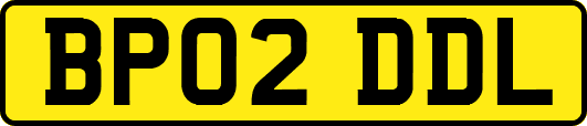 BP02DDL