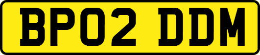 BP02DDM