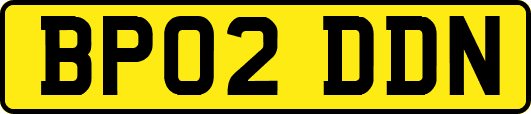 BP02DDN