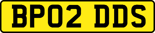 BP02DDS