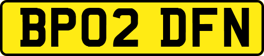 BP02DFN