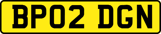 BP02DGN