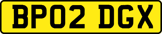 BP02DGX