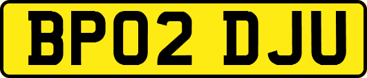 BP02DJU
