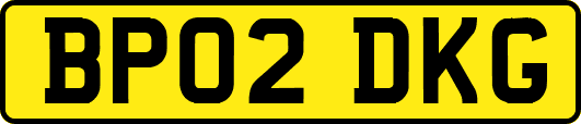 BP02DKG