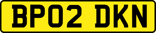 BP02DKN